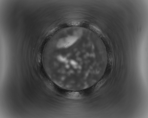 X0000087410374200705041252