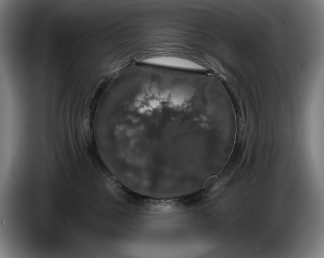 X0000087410377200705041253