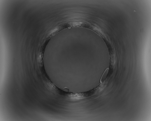 X0000087410378200705041253