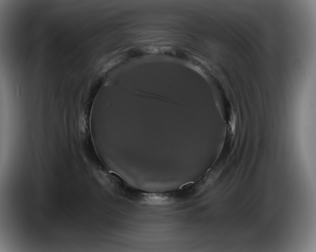 X0000087410380200705041253