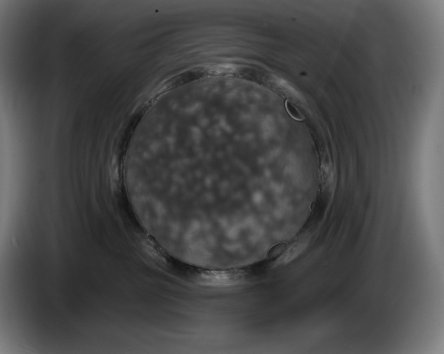 X0000087410381200705041253