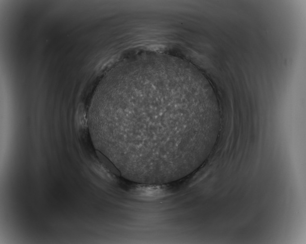 X0000087410384200705041253