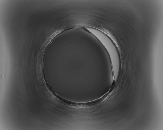 X0000087410385200705041252