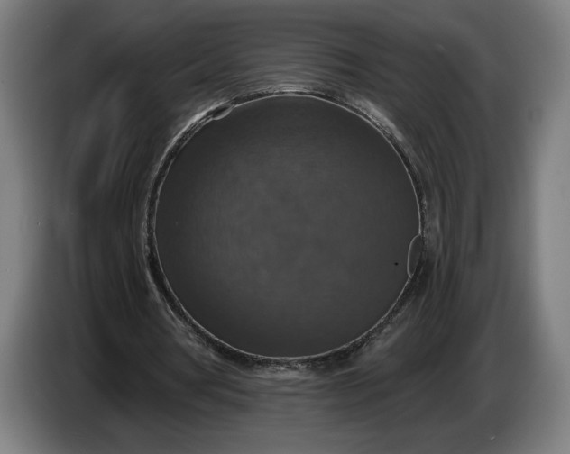 X0000087410386200705041252