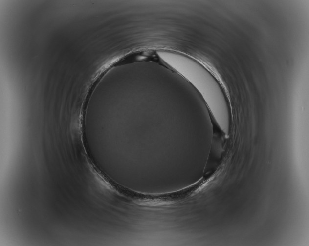 X0000087410389200705041252