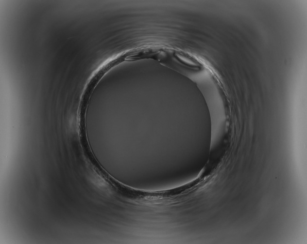 X0000087410391200705041252