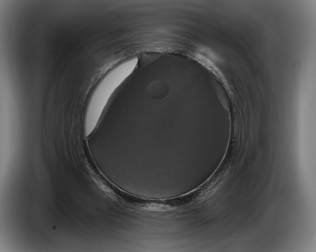 X0000087410393200705041252