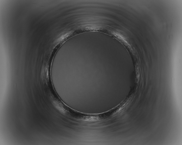 X0000087410398200705041252