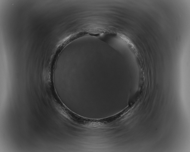 X0000087410399200705041252