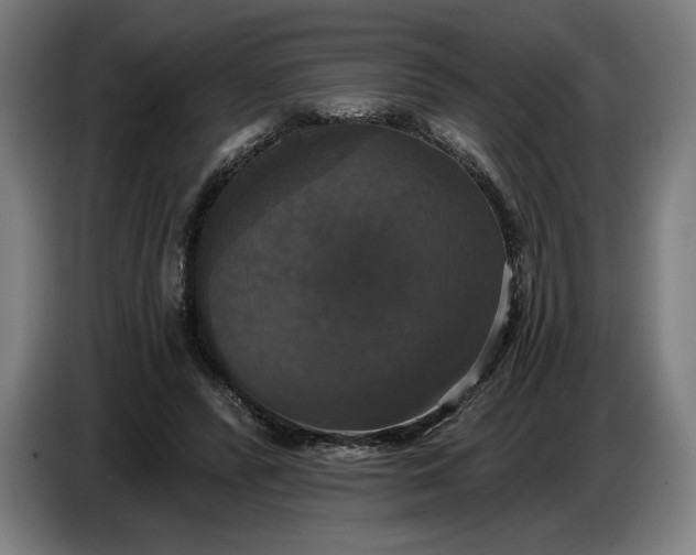 X0000087410400200705041252