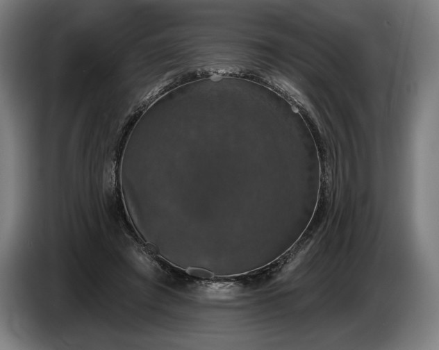 X0000087410401200705041252