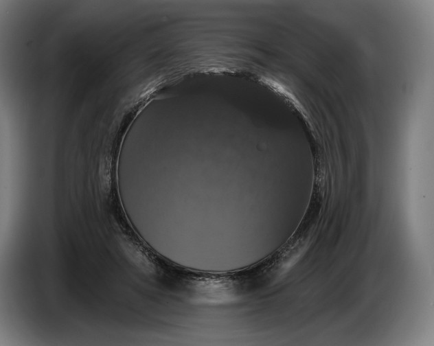 X0000087410402200705041252