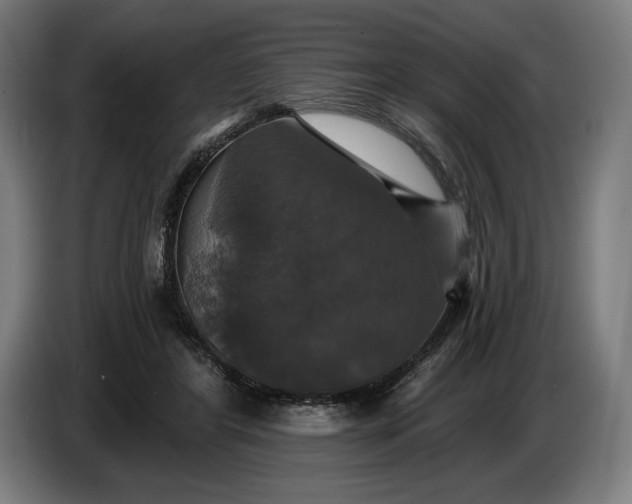 X0000087410404200705041252