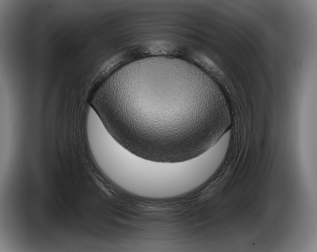 X0000087410405200705041252