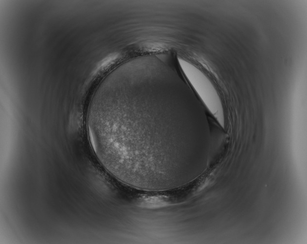 X0000087410407200705041252