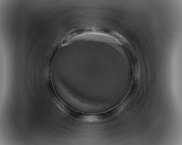 X0000087410409200705041252