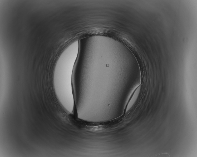 X0000087410411200705041252