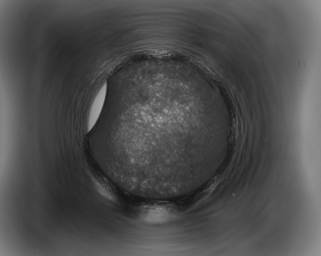 X0000087410412200705041252