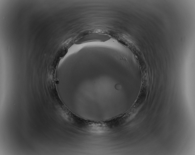 X0000087410415200705041252