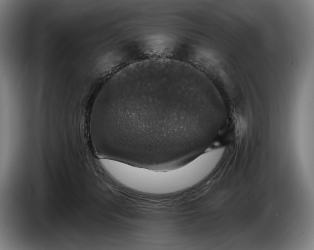 X0000087410416200705041252