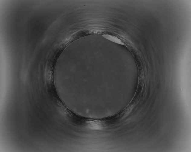 X0000087410417200705041252