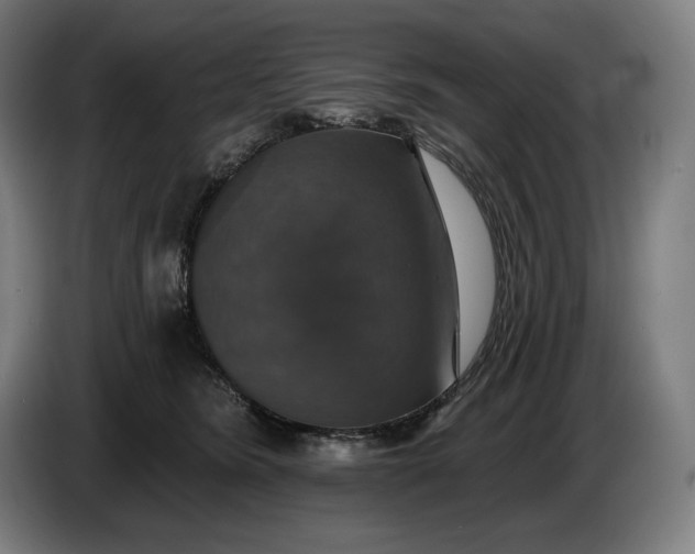 X0000087410420200705041252