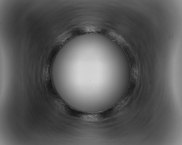 X0000087410422200705041252