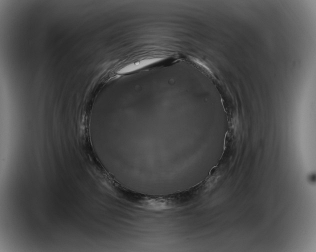 X0000087410423200705041252