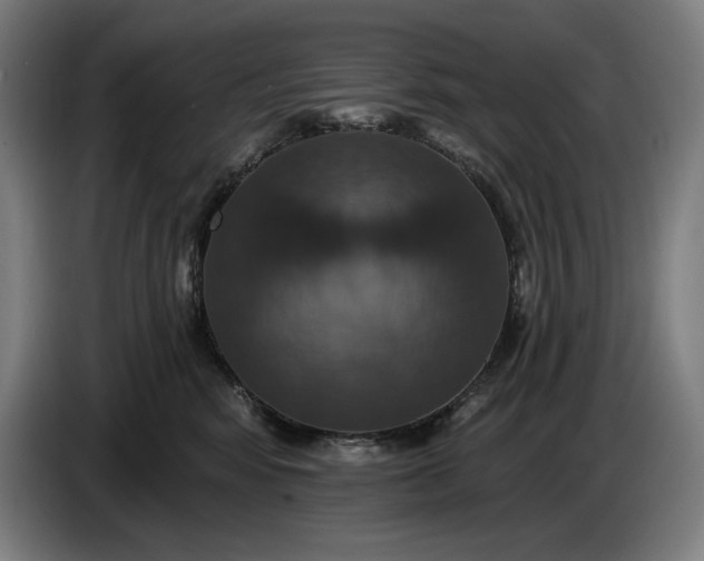 X0000087410424200705041251