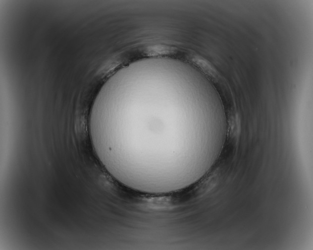 X0000087410426200705041251