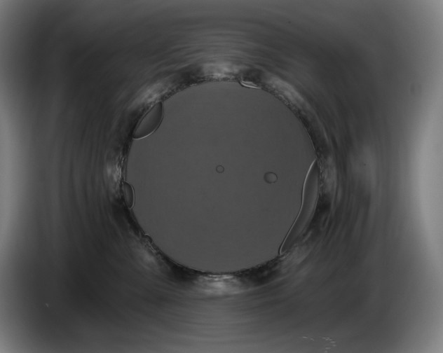 X0000087410427200705041251