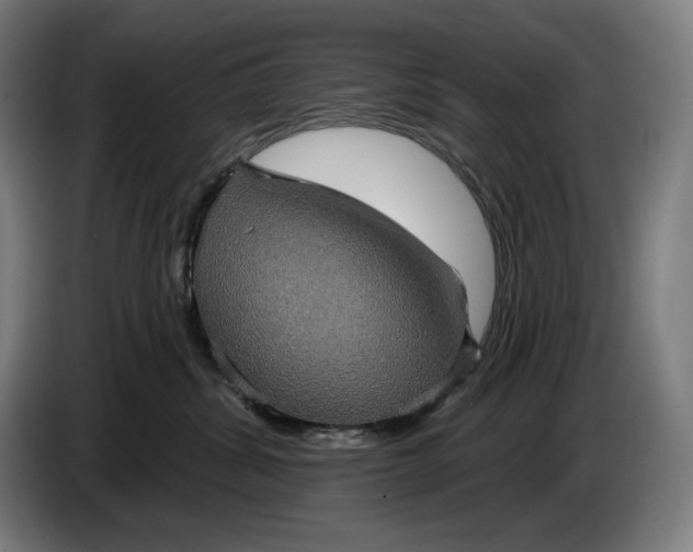 X0000087410428200705041251