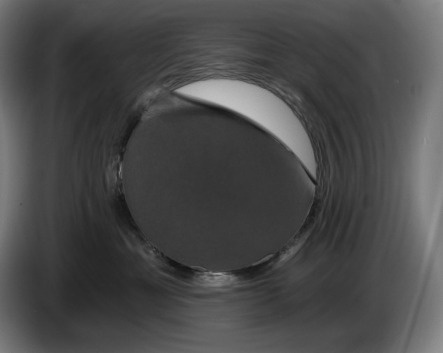 X0000087410429200705041251