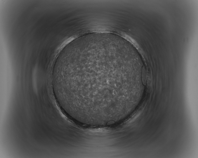 X0000087410433200705041251