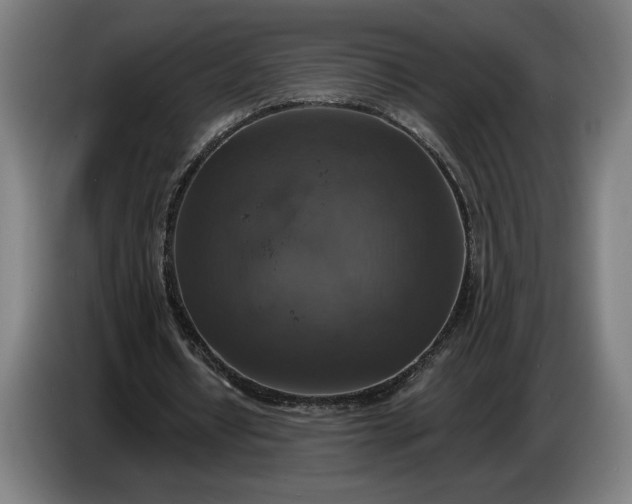 X0000087410434200705041251