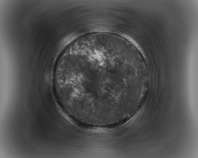 X0000087410437200705041251