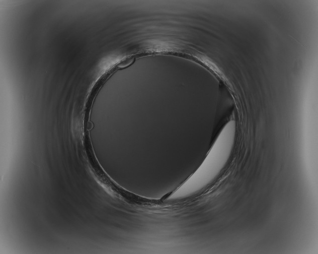 X0000087410438200705041251