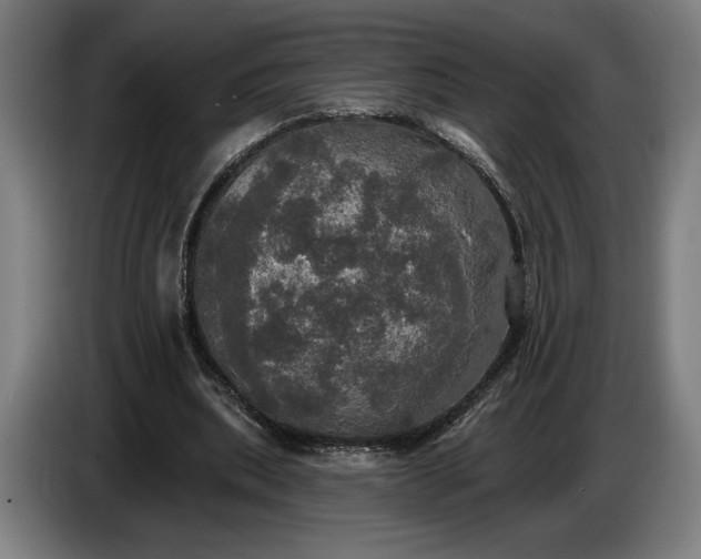 X0000087410439200705041251