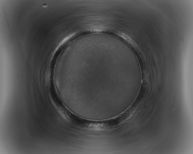 X0000087410440200705041251