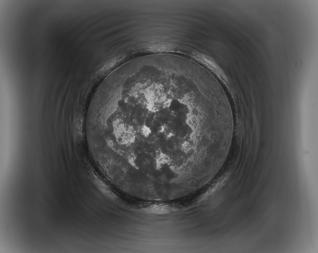 X0000087410441200705041251