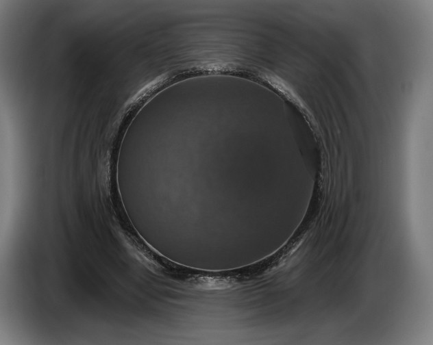 X0000087410442200705041251