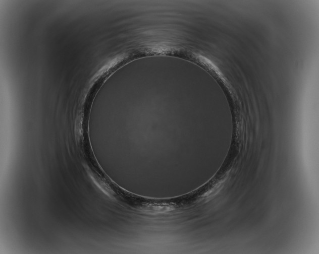 X0000087410443200705041251