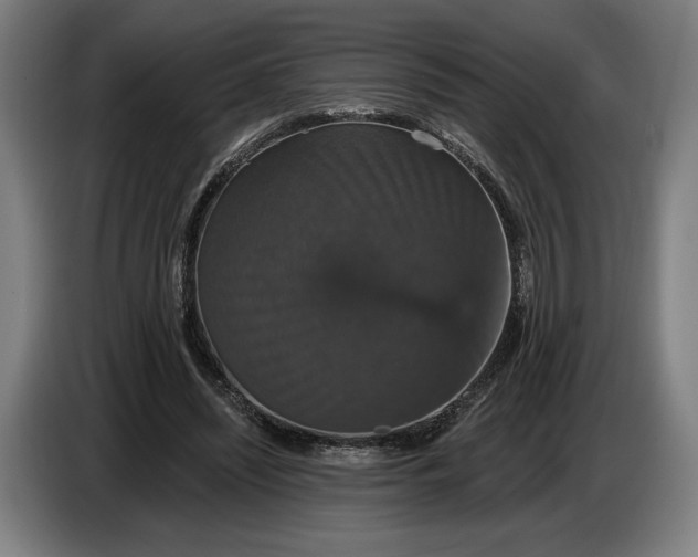 X0000087410444200705041251