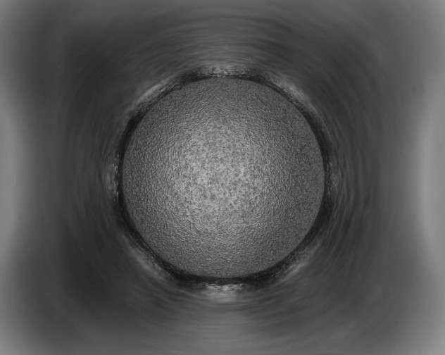 X0000087410450200705041251