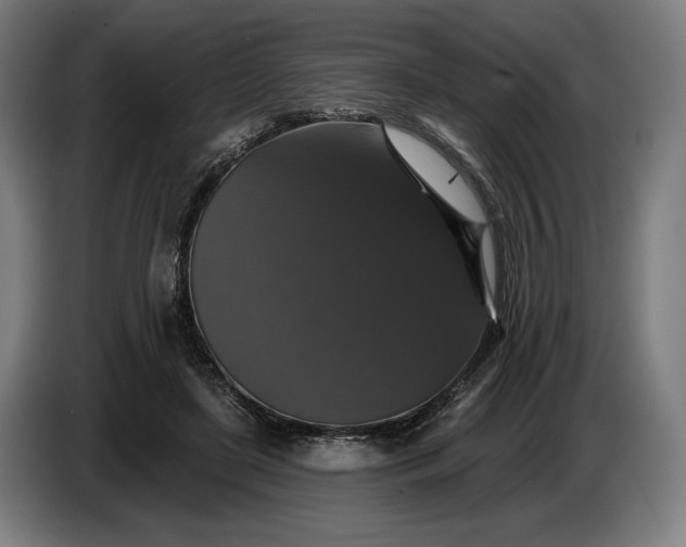 X0000087410451200705041251