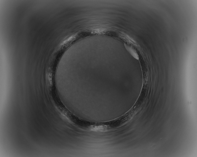 X0000087410452200705041251