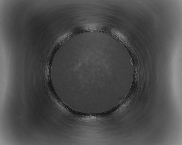 X0000087410453200705041251