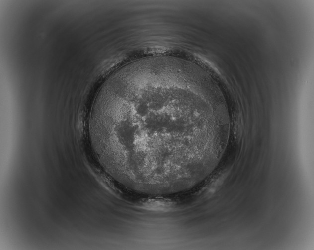 X0000087410455200705041251