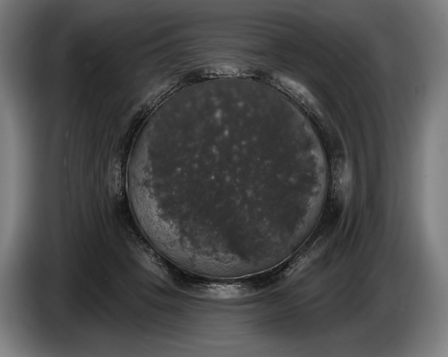 X0000087410457200705041251