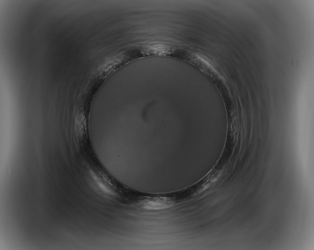 X0000087410459200705041251